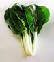 Large Bok Choy