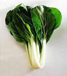 Large Bok Choy