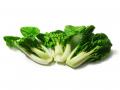 Baby Bok Choy
