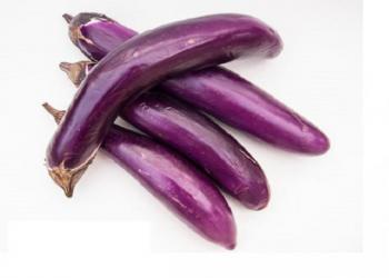 Long Eggplant