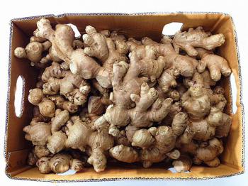 Thai Ginger