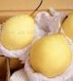 Ya Pears