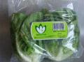 Baby Cos Lettuce