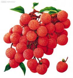 Thai Lychees 