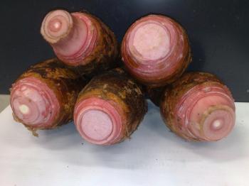Fresh Taro 