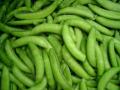 SUGAR SNAP 