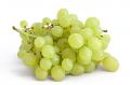Green Grapes:    