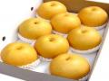 FengShui Pear
