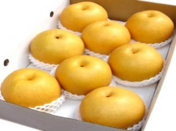 FengShui Pear FengShui Pear