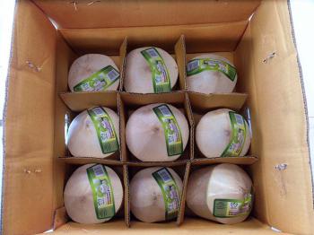 Fresh Drinking Coconut 