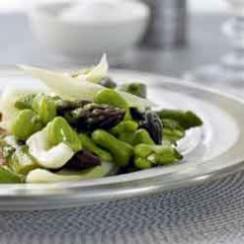 Mélange of Broad Beans, Asparagus and Fennel Mélange of Broad Beans, Asparagus and Fennel
