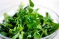 Watercress Salad with Lime Dressing